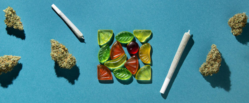 What exactly are cannabis edibles?, Cannabis and edibles – everything you need to know, How do they affect the body?, How do they affect the brain?