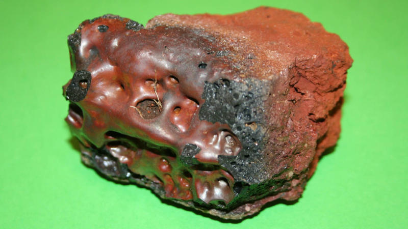 How Rapid Cooling Trapped A Tragedy A Glass Brain And The Fury Of Vesuvius, The Day Vesuvius Darkened The Sky, How Herculaneum Was Swallowed Alive, When Ash Replaced Air, Bruno Rijsman, Wikimedia Commons Centuries Of Silence Beneath The Rock, Digging Through Layers Of Despair, The Hidden Temple Of The Emperor’s Cult, A Body Found Where Faith Once Gathered, Lying Still On A Charred Wooden Bed, The Mystery Of The Unknown Man, Clues Encased In Volcanic Debris, Too Sudden For Escape, When Fire Meets Brain Tissue, The Phenomenon Of Vitrification, A Brain That Became Glass, The Shimmer That Changed Everything, Scientists Take A Closer Look, Under The Microscope: A Shocking Revelation, Proteins, Fatty Acids, And Human Remains, Confirming The Unthinkable, A Brain Preserved By Catastrophe, The First Of Its Kind In Archaeology, Why This Discovery Matters, Peering Into A Mind Lost In 79 AD, How Rapid Cooling Trapped A Tragedy, The Body That Burned, Then Froze, A Tale Only Herculaneum Could Tell, Pyroclastic Flows: Nature’s Deadliest Breath, The Moment Between Life And Nothing, Can Vitrification Happen Again?, When Biology Meets Geology, What We Learn From A Glass Brain, Scientific Curiosity Vs. Human Dignity, Ethics Of Studying The Dead, Turning Horror Into Human Insight, The Role Of Museums In Telling The Story, Why The World Was Dazzled, The Most Intimate Look At An Ancient Crisis, Could There Be More Like Him?, Herculaneum’s Final Whisper To The Future