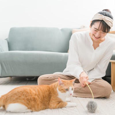 1.目を合わせない・逸らす, 2.体を密着させない・触れさせない, 3.喉を鳴らさない（ゴロゴロしない）, 4.ニオイを嗅がせない・擦り付けない, 5.お腹を見せない, 6.近くで排泄しない・粗相する