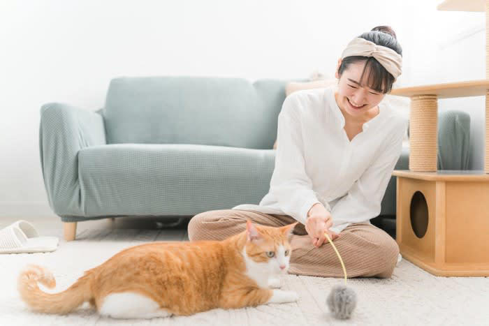 1.目を合わせない・逸らす, 2.体を密着させない・触れさせない, 3.喉を鳴らさない（ゴロゴロしない）, 4.ニオイを嗅がせない・擦り付けない, 5.お腹を見せない, 6.近くで排泄しない・粗相する