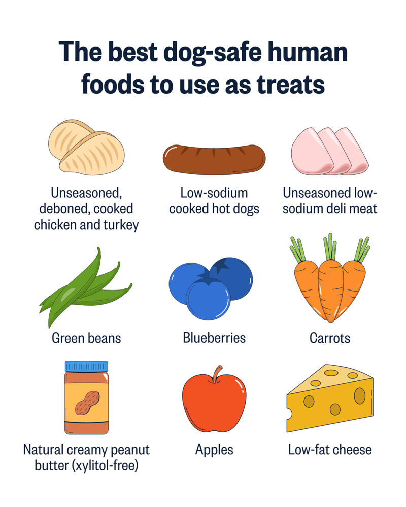 How I picked the best dog training treats, The best dog training treats, What human foods are safe to give dogs as treats?, How to use treats while training your dog, Frequently asked questions, Meet our experts, Why trust NBC Select?