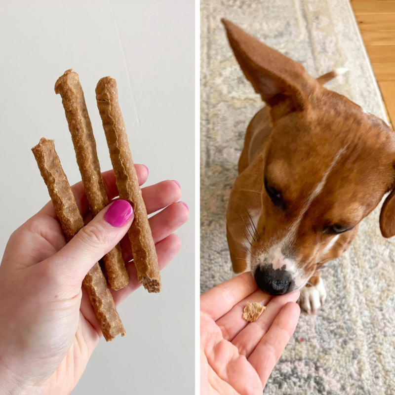 How I picked the best dog training treats, The best dog training treats, What human foods are safe to give dogs as treats?, How to use treats while training your dog, Frequently asked questions, Meet our experts, Why trust NBC Select?