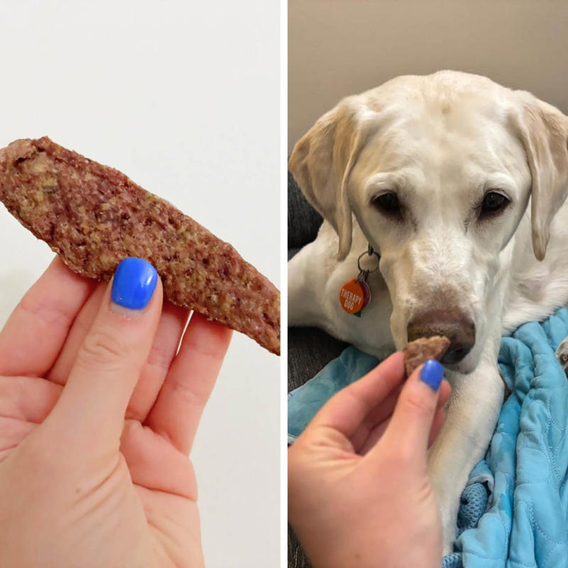 How I picked the best dog training treats, The best dog training treats, What human foods are safe to give dogs as treats?, How to use treats while training your dog, Frequently asked questions, Meet our experts, Why trust NBC Select?