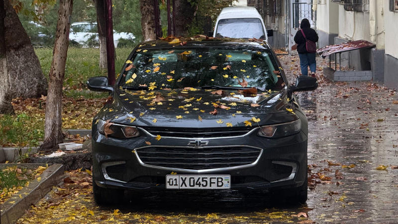 3. SUVs Would Overtake Sedans In Popularity 1. Hydrogen Cars Will Replace Gasoline, 2. The Pontiac Aztek Will Redefine SUV Design, 3. The U.S. Would Lead The EV Market By 2020, 4. Diesel Will Dominate American Highways, 5. Microcars Would Take Over Urban America, 6. Flying Cars Will Be Mainstream By The 2020s, 7. Nobody Will Want Electric Pickups, 8. Google Will Have Fully Autonomous Cars By 2020, 9. Car-Sharing Would Eclipse Ownership, 10. Tesla Would Go Bankrupt By 2018, 1. The Ford Mustang Would Become A Cultural Icon, 2. Toyota’s Bet On Hybrids Would Pay Off, 3. SUVs Would Overtake Sedans In Popularity, 4. Revival Of Off-Road Enthusiasm, 5. EV Range Anxiety Would Fade With Time, 6. Porsche Could Build An Electric Car Without Sacrificing Performance, 7. Car Subscription Models Would Struggle To Scale, 8. Americans Would Warm To Korean Cars, 9. Legacy Carmakers Would Struggle Against EV Startups, 10. Long-Term Success For The Corolla