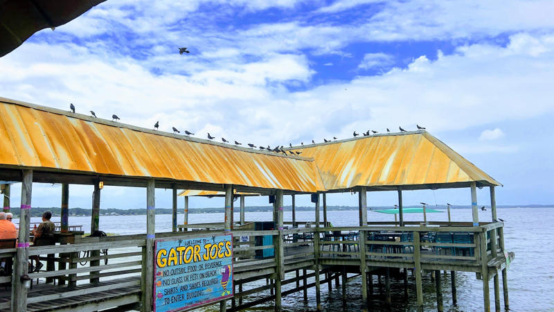 Cabbage Key Bar and Restaurant | Fort Myers, Captain Dave's on the Gulf | Destin, Gator Joe's Beach Bar & Grill | Ocklawaha, J.R.’s Old Packinghouse Cafe | Sarasota, Linger Lodge | Bradenton, Marsh Landing | Fellsmere, Okeechobee Steakhouse | West Palm Beach, The Old Fish House Bar and Grill, The Point Restaurant | Perdido Key, Reececliff Family Diner | Lakeland , Shell Oyster Bar | Tallahassee, Singleton’s Seafood Shack | Mayport, Skipper's Smokehouse l Tampa, The Snook Inn l Marco Island, Swamp House Riverfront Grill | DeBary, Waldo’s Restaurant & Bar