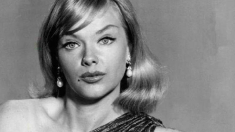 Honey West Dusty Reels, Timeless Stories, The Patty Duke Show, Honey West, The Farmer's Daughter, My Living Doll, It's About Time, The Lieutenant, The Tammy Grimes Show, The Second Hundred Years, Occasional Wife, Coronet Blue, The Rogues, He & She, Run Buddy Run, Captain Nice, Mr.Terrific, The Baileys Of Balboa, The Jean Arthur Show, East Side/West Side, The Guns Of Will Sonnett, Please Don't Eat The Daisies, The Mothers-In-Law, Love On A Rooftop, Valentine's Day