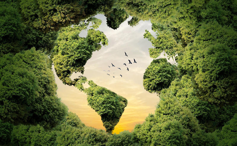 Other consequences Helping the planet, Other consequences, "Meat disgust", Defining the term, Old concept, The study, The findings, Also ongoing..., Breaking the mold, Holding true, Statistics, The importance of methane, Little appetite