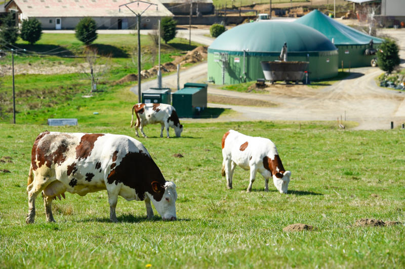 The importance of methane Helping the planet, Other consequences, "Meat disgust", Defining the term, Old concept, The study, The findings, Also ongoing..., Breaking the mold, Holding true, Statistics, The importance of methane, Little appetite