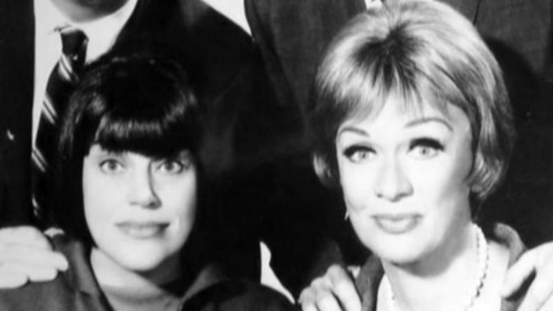 The Mothers-In-Law Dusty Reels, Timeless Stories, The Patty Duke Show, Honey West, The Farmer's Daughter, My Living Doll, It's About Time, The Lieutenant, The Tammy Grimes Show, The Second Hundred Years, Occasional Wife, Coronet Blue, The Rogues, He & She, Run Buddy Run, Captain Nice, Mr.Terrific, The Baileys Of Balboa, The Jean Arthur Show, East Side/West Side, The Guns Of Will Sonnett, Please Don't Eat The Daisies, The Mothers-In-Law, Love On A Rooftop, Valentine's Day