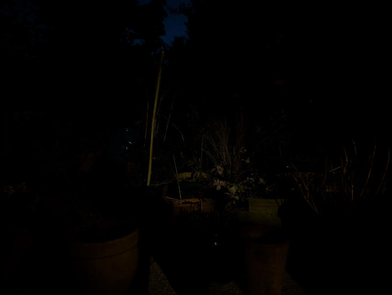 Specs comparison, Main sensor, Statue of Joshua Reynolds, Corner windows, Chelsea Flower Show, Macro, Ultra-wide, Main sensor, Zoom, Low light, Standard Photo Mode, Night Mode, Astrophotography Mode, Portrait mode, Selfies, Video