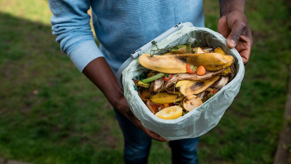 Shop with intention, Invest in versatile ingredients, Keep an inventory list, Make friends with your freezer, Save scraps for stock, Make a quick pickle, Turn your leftovers into a game, Compost any excess, Give yourself grace