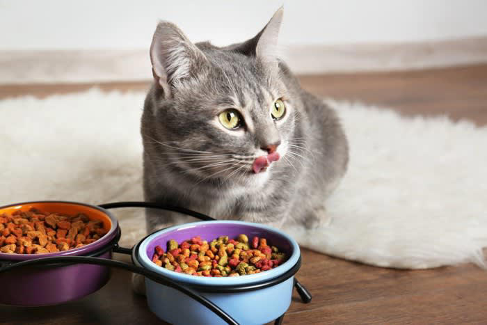 猫の置き餌が危険な3つの理由, 1.肥満・消化器疾患・糖尿病のリスクが上がる, 2.フードの衛生問題・フードの劣化を招く, 3.健康管理がしにくくなる, 猫に置き餌をするときの注意点, 1日の総エネルギーを超えない