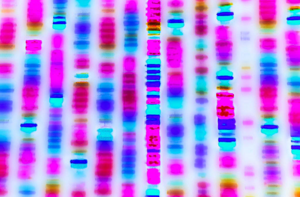 How will the scientists make artificial DNA?