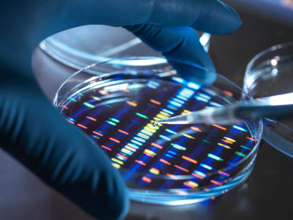 How will the scientists make artificial DNA?