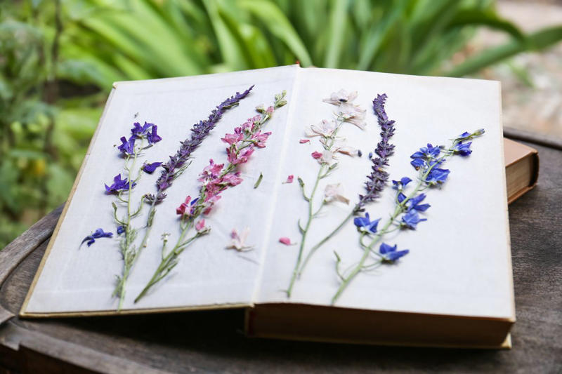 Flower Pressing, Origami, Embroidery, Ceramics, Plant Propagation, Quilting