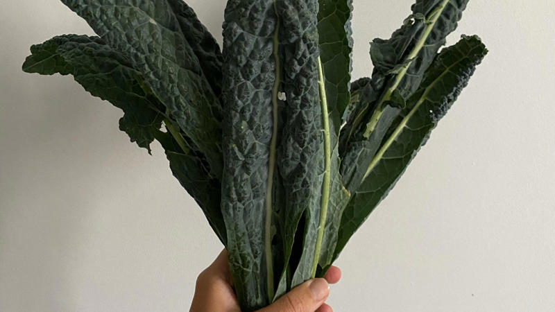 7. Vitamin K 1. Vitamin E, 2. Multivitamins, 3. Vitamin C, 4. Beta-Carotene, 5. Fat Burners, 8. Testosterone Boosters, 9. Calcium, 10. Coenzyme Q10, 1. Omega-3 Fatty Acids, 2. Fiber, 3. Creatine, 4. Vitamin D, 5. Vitamin B12, 7. Vitamin K, 8. Folic Acid, 9. Magnesium, 10. Collagen