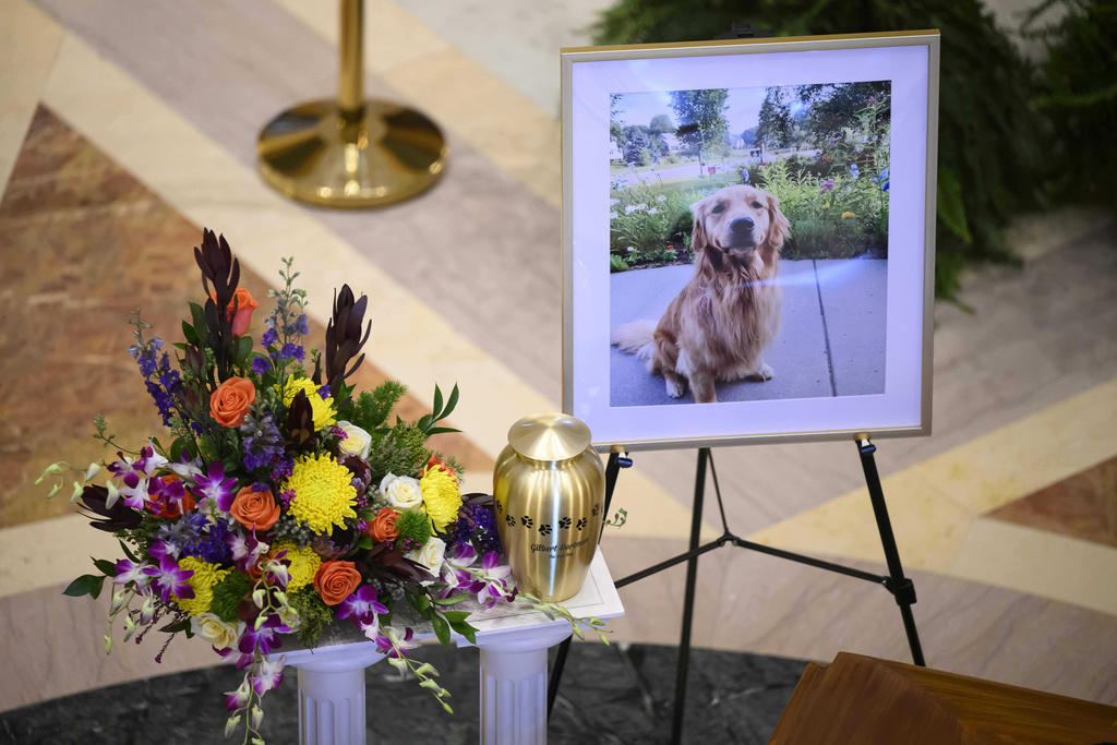 The service, The scene at the Capitol, A hearing takes a twist, The case continues