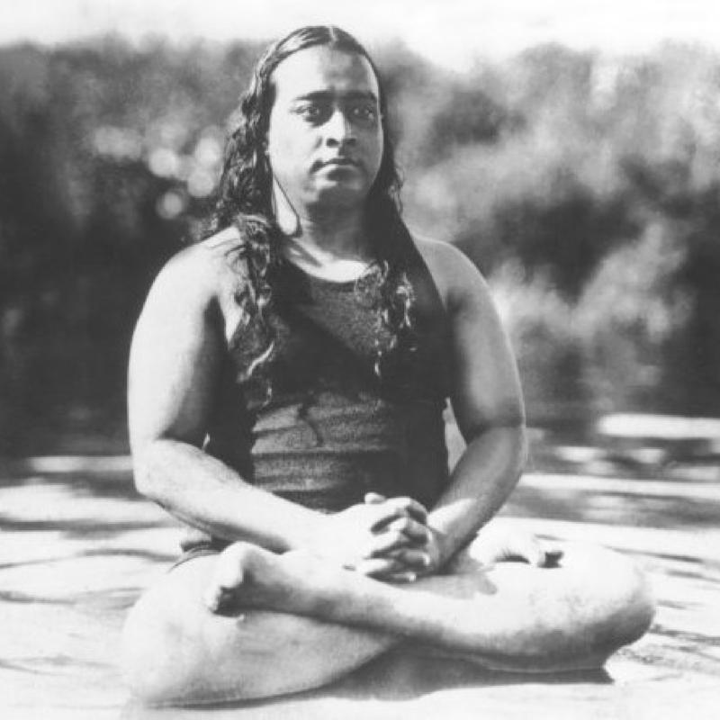 A death foretold Paramahansa Yogananda, A calling from the start, A guru predicted his future, Finding his master, Scholar and seeker, A journey to the West, A return to roots, A death foretold, The day he left this world, Awake: The Life of Yogananda, A message for every generation, A guru to the stars, Steve Jobs, George Harrison, My Sweet Lord