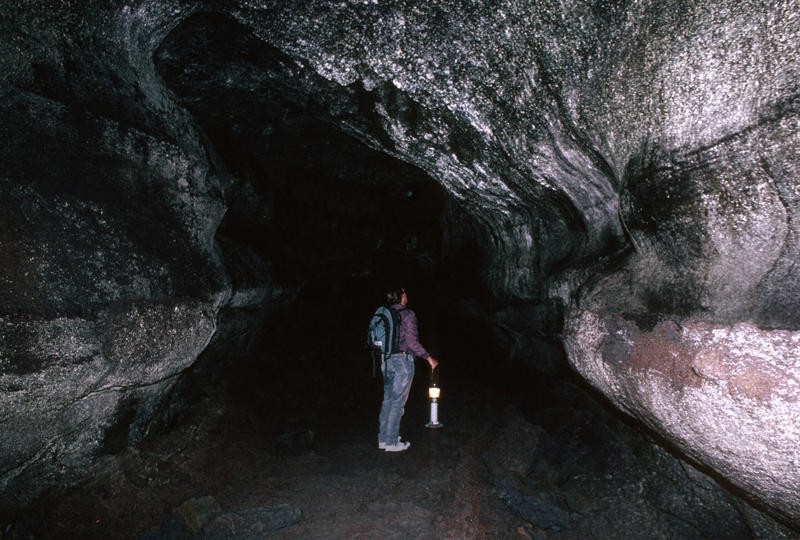 The Hidden Microforests Inside Caves, Grown in Eternal Twilight The Paradox of Life Without Light, Ancient Survivors from a Forgotten World, The Architecture of Eternal Twilight, Masters of Moisture Management, The Invisible Network Underground, Extreme Photosynthesis in Near-Darkness, Temperature Regulation in the Stable Zone, Chemical Communication in the Dark, Reproduction Strategies in Confined Spaces, Nutrient Cycling in Closed Systems, Adaptation to Extreme Humidity Gradients, The Role of Cave Minerals, Microscopic Predators and Prey, Discovery and Scientific Significance, Conservation Challenges and Threats, Future Research Directions