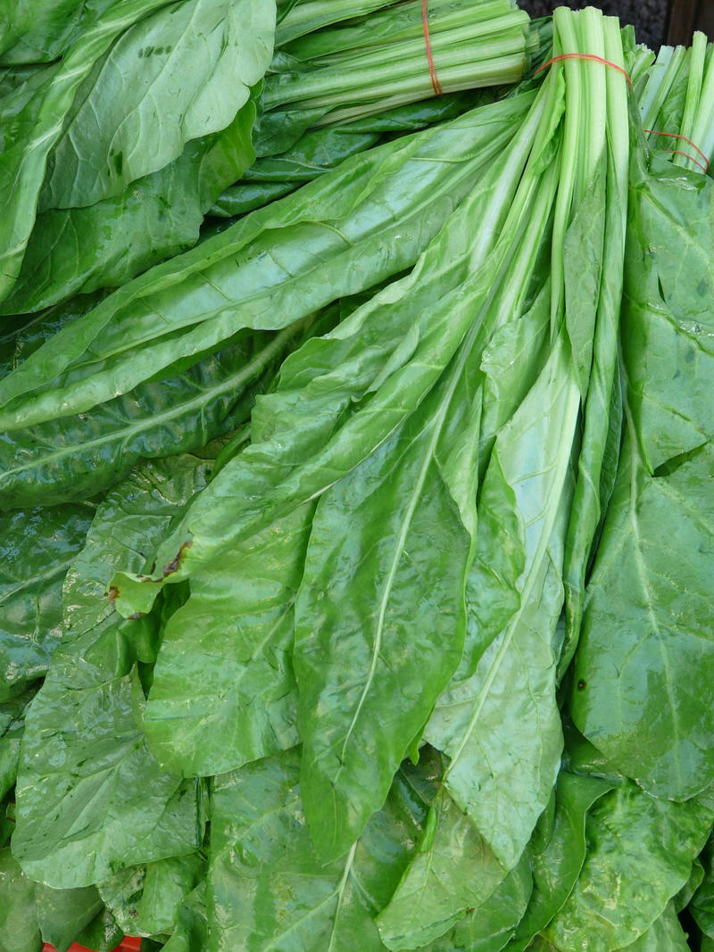 Your Spinach is Dying While You Shop, Broccoli Becomes Basically Celery After a Week, Green Beans Turn Into Vitamin Ghosts, Lettuce Loses Its Mind in Six Days, Bell Peppers Become Colorful Disappointments, Asparagus Ages Out of Nutrition in Days, The Science Behind the Rapid Nutrient Collapse, Why Bulk Buying Backfires Nutritionally, The Frozen Alternative Nobody Talks About, Smart Storage Won't Save Your Bulk Vegetables
