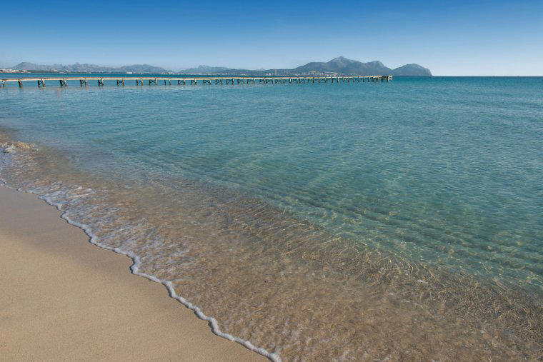 Between beach and nature reserve, Enormous wetland bird sculptures, Family rooms, Specialist restaurants, Free-flowing cocktails and pools, Golden sands and crystal-clear water, Booking it