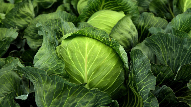 8. Cabbage 1. Ginger, 2. Garlic, 3. Spicy Chili Peppers, 4. Pineapple, 5. Turmeric, 6. Carrots, 7. Horseradish, 8. Cabbage, 9. Apple Cider Vinegar, 10. Berries, 11. Sweet Potatoes, 12. Spinach, 13. Kale, 14. Tomatoes, 15. Broccoli, 16. Lemon, 17. Avocados, 18. Onions, 19. Celery, 20. Mango