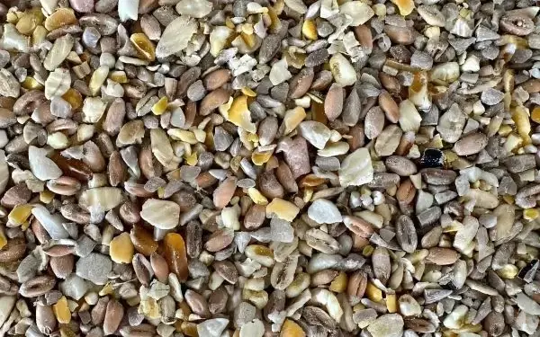 Sainsbury's Wild Bird Seed Mix 4kg, National Trust CJ Wildlife Garden Bird Table Seed 12.75kg , Extra Select Seed Mix Wild Bird Food 5L, RSPB Feeder Mix 3.25kg, Johnston &amp; Jeff Wild Bird Food, 20 kg