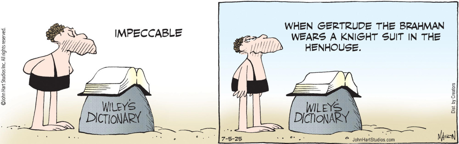 Daily Comics: B.C. by Mastroianni and Hart