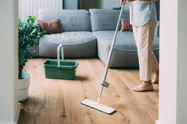 Clean as You Go, Mitigate Mess at the Door, Treat Hard Surfaces and Carpet Differently, Vacuum the Furniture, Wash What Your Pet Lays On
