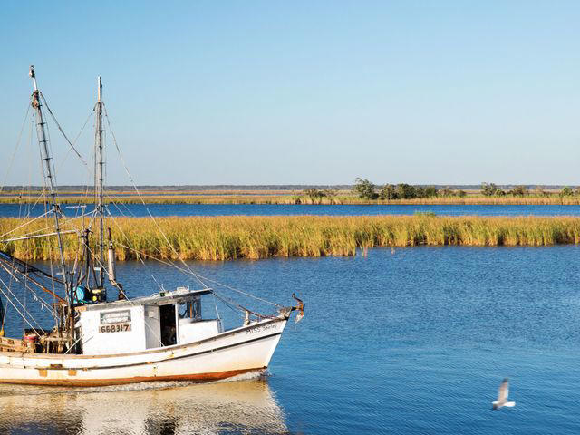 Where Is The Forgotten Coast?, Best Things To Do, Where To Eat and Drink, Where To Shop, Where to Stay