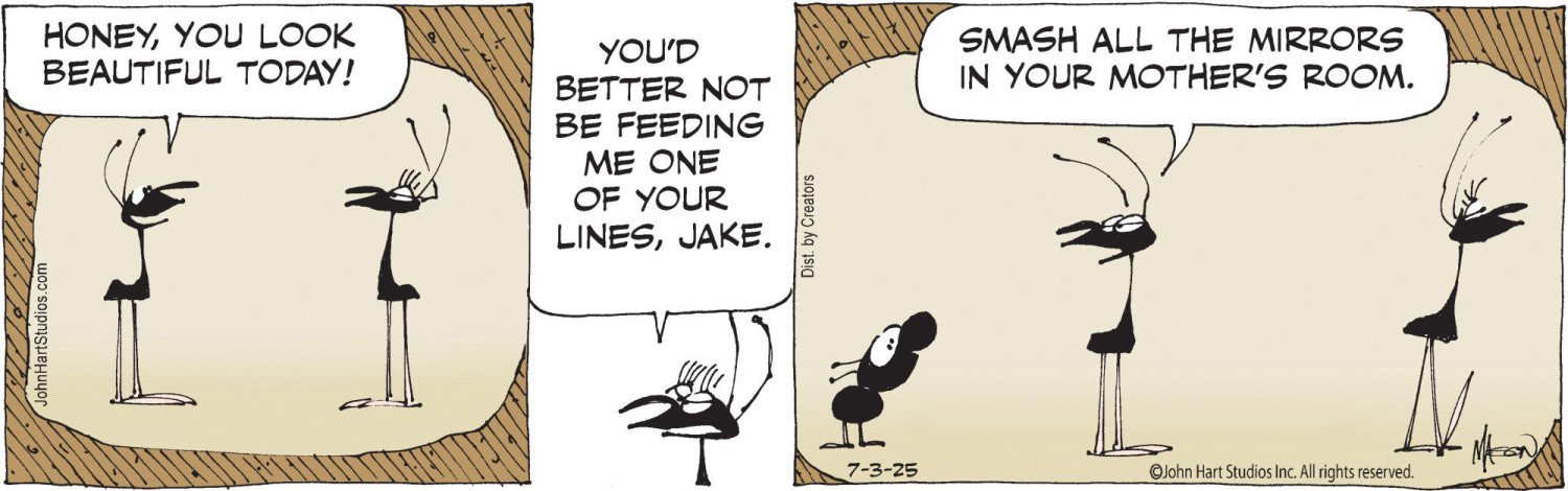Daily Comics: B.C. by Mastroianni and Hart