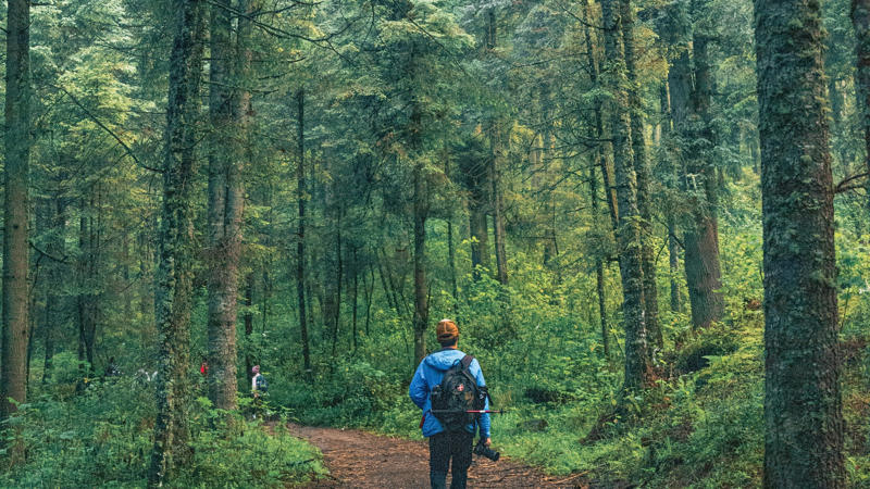 Viridiana Rivera on Pexels Nature’s Perfect Workout Plan, 1. Boosts Cardiovascular Health, 2. Builds Lower Body Strength, 3. Enhances Mental Clarity, 4. Burns Serious Calories, 5. Strengthens Core Muscles, 6. Improves Bone Density, 7. Supports Weight Management, 8. Improves Sleep Quality, Kamaji Ogino on Pexels, 10. Promotes Joint Flexibility, Tom Christensen on Pexels, 12. Reduces Risk Of Chronic Disease, 13. Improves Lung Capacity, 14. Enhances Balance And Coordination, Viridiana Rivera on Pexels, Philipp Aleev on Pexels, Ihsan Adityawarman on Pexels, PNW Production on Pexels, Kampus Production on Pexels, 20. Teaches Mindful Presence