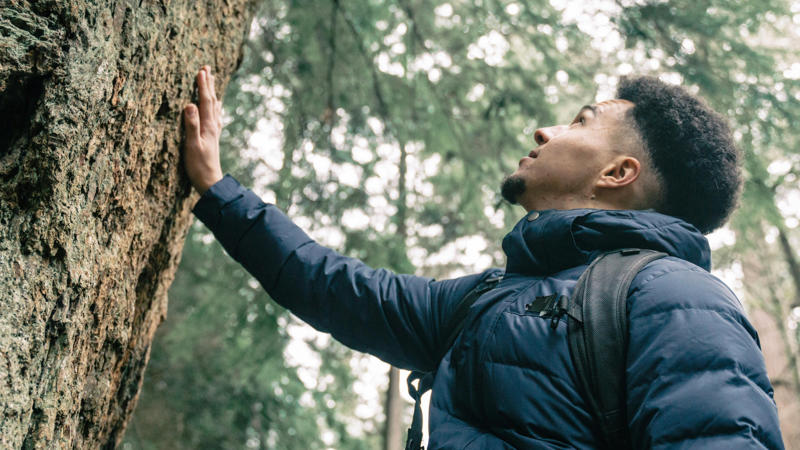 PNW Production on Pexels Nature’s Perfect Workout Plan, 1. Boosts Cardiovascular Health, 2. Builds Lower Body Strength, 3. Enhances Mental Clarity, 4. Burns Serious Calories, 5. Strengthens Core Muscles, 6. Improves Bone Density, 7. Supports Weight Management, 8. Improves Sleep Quality, Kamaji Ogino on Pexels, 10. Promotes Joint Flexibility, Tom Christensen on Pexels, 12. Reduces Risk Of Chronic Disease, 13. Improves Lung Capacity, 14. Enhances Balance And Coordination, Viridiana Rivera on Pexels, Philipp Aleev on Pexels, Ihsan Adityawarman on Pexels, PNW Production on Pexels, Kampus Production on Pexels, 20. Teaches Mindful Presence