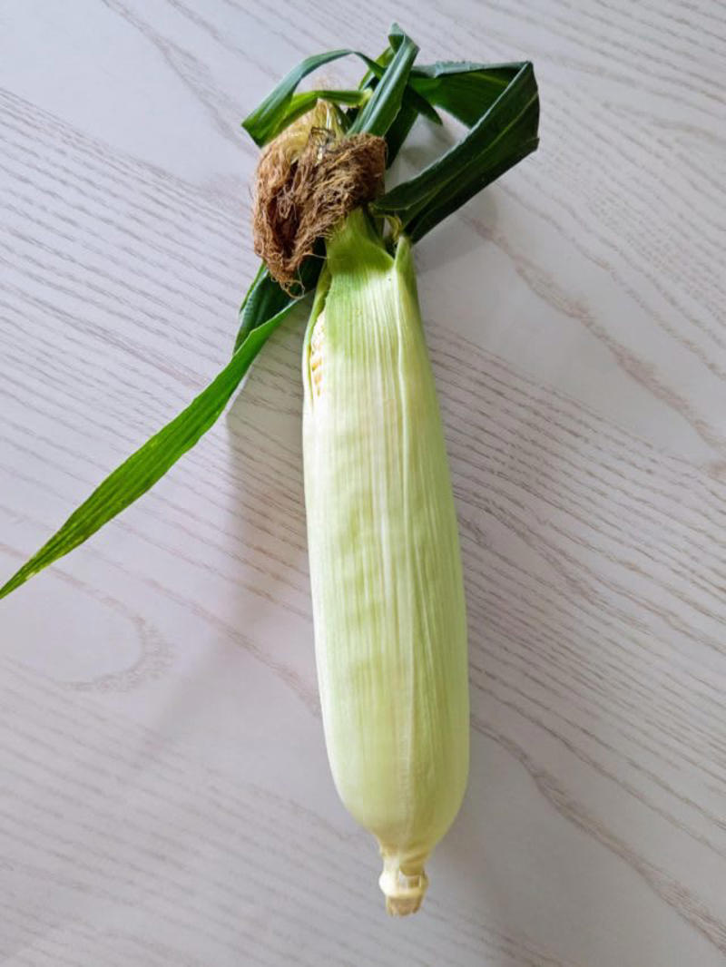 【ちりめん山椒と梅干しのおむすび】, 【たらこのおにぎり】, 【枝豆ととうもろこしのおにぎり】, 【みょうがと青じその香味おにぎり】