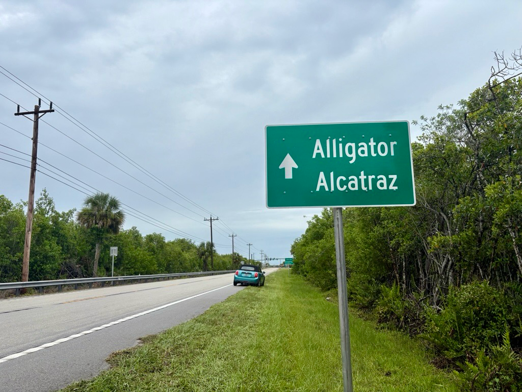What is Alligator Alcatraz?, Where in Florida is Alligator Alcatraz?, Is there air conditioning at Alligator Alcatraz? , Aerial video of Alligator Alcatraz near Florida Everglades, Why do they call it Alligator Alcatraz?