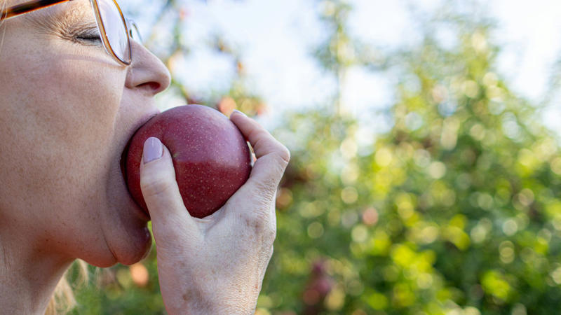 1. Apples 1. Apples, 2. Tough Meat, 3. Chewing Gum, 4. Bagels, 5. Layered Sandwiches & Burgers, 6. Hard & Chewy Candies, 7. Hard Nuts & Seeds, 8. Crunchy Vegetables, 9. Fried Foods, 10. Popcorn, 2. Mashed Potatoes, 4. Scrambled Eggs, 6. Boiled Vegetables, 7. Yogurt, 8. Pudding, 9. Ice Cream, 10. Bananas & Soft Fruits