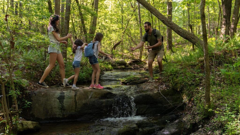 1. Julia Pfeiffer Burns State Park, 2. Fort Robinson State Park, 3. Niagara Falls State Park, 4. Sand Harbor State Park, 5. Curt Gowdy State Park, 6. Letchworth State Park, 7. Franconia Notch State Park, 8. Chattahoochee Bend State Park, 9. Cimarron Canyon State Park, 10. St. Andrews State Park, 11. Custer State Park, 12. Petit Jean State Park