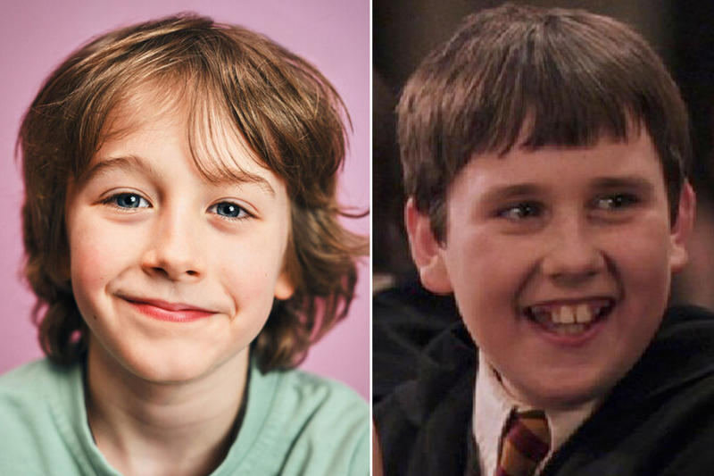 Harry Potter, Hermione Granger, and Ron Weasley, Albus Dumbledore, Minerva McGonagall, Severus Snape, Rubeus Hagrid, Quirinus Quirrell, Argus Filch, Petunia Dursley, Vernon Dursley, Cornelius Fudge, Molly Weasley , Draco Malfoy, Lucius Malfoy, Seamus Finnigan, Parvati Patil, and Lavender Brown, Neville Longbottom, Dudley Dursley, Madam Rolanda Hooch, Garrick Ollivander