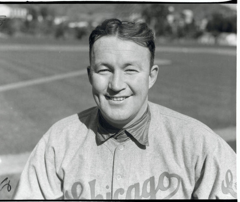 Manager: Joe Maddon, Starting pitcher: Fergie Jenkins, Reliever/closer: Lee Smith, Catcher: Gabby Hartnett, 1B: Cap Anson, 2B: Ryne Sandberg, 3B: Ron Santo, SS: Ernie Banks, OF: Billy Williams, OF: Andre Dawson, OF: Sammy Sosa, DH: Mark Grace