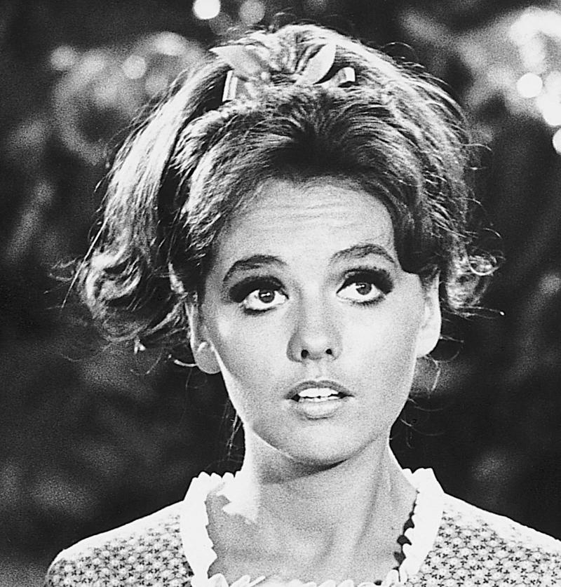 ‘Gilligan's Island': the early days, From satire to slapstick, Casting Mary Ann… and building the lagoon, Tensions, typecasting and Tina Louise, Credit wars and ensemble drama, Reaching the end of the ‘Island', A second and third life, Long Hours and hot lights