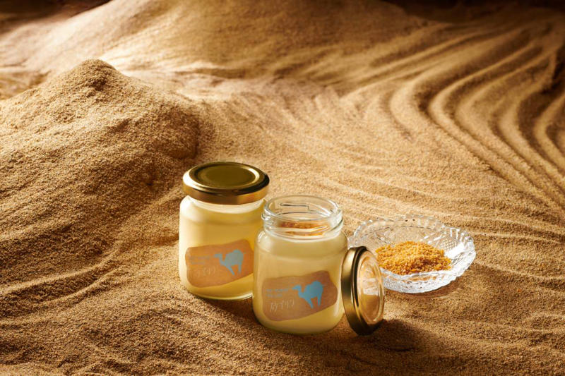 全国のプリンが枚方に集まる「ニッポンのプリン」, 食と健康がテーマの「大阪ええもんマルシェ」, てんしばで初開催！「大阪カレーフェスinてんしば2025」, おもちゃ花火で楽しむ「わくわく花火スクール in 扇町公園」, 手持ち花火や屋台を楽しめる「2025玩具花火大会」