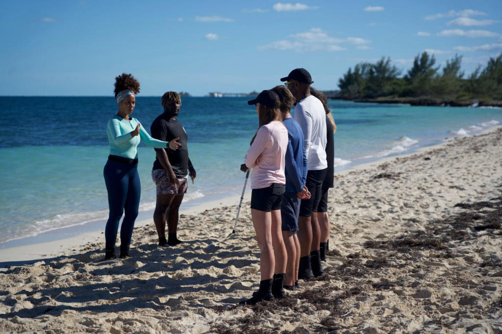 I’m a TV critic – I was wrong about Shark! Celebrity Infested Waters