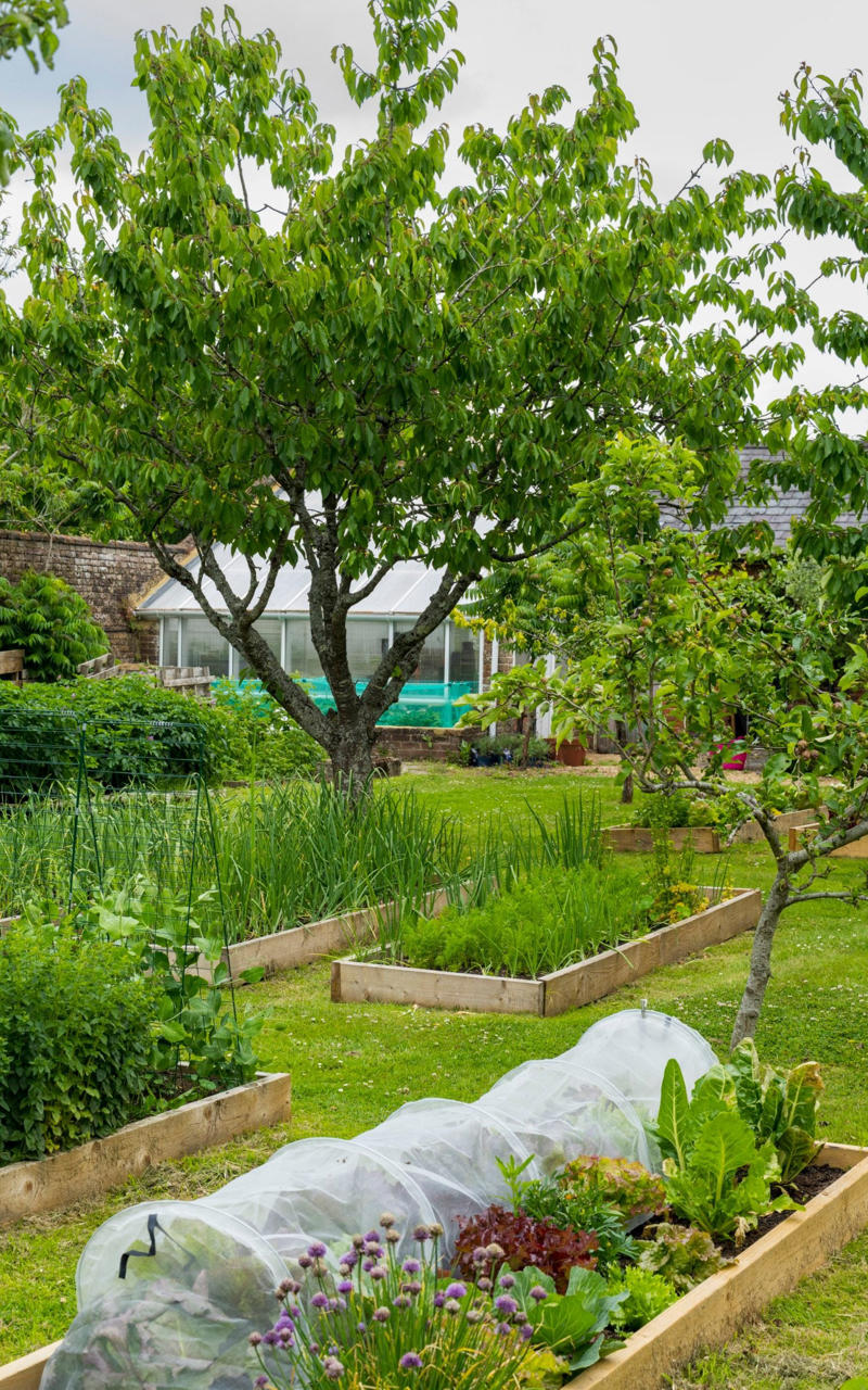 Where do you live?, What’s your main interest in the garden?, Which veg is your favourite?, Do your children help you in the garden?, Did you have a garden as a child?, Did your floristry experience give you a particular affinity for flowers?, Is the garden home to much wildlife?, Do you often find yourself ‘disappearing’ into the garden?