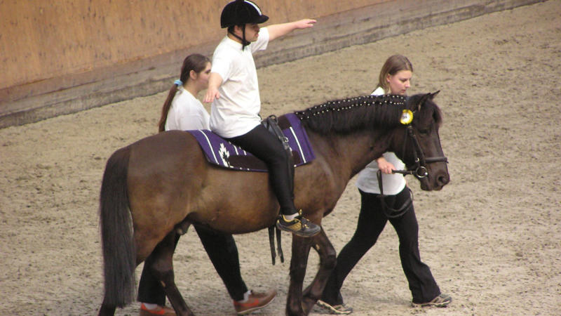 16. Bachelor Of Science In Therapeutic Horsemanship 1. Diploma In Clowning Arts, 2. Bachelor Of Arts In Psychedelic Studies, 3. Bachelor Of Science In Fermentation Sciences, 4. Bachelor Of Fine Arts In Comic Art, 5. Bachelor Of Fine Arts In Puppet Arts, 6. Associate Of Applied Science In Farrier Science, 7. Bachelor Of Science In Adventure Education, 8. Bachelor Of Science In Cannabis Business, 9. Bachelor Of Arts In Manga Studies, 10. Diploma In Contemporary Circus Arts, 11. Bachelor Of Fine Arts In Bagpipe Performance, 12. Bachelor Of Science In Feed Science And Management, 13. Master Of Science In Biomimicry, 14. Bachelor Of Arts In Sexuality And Gender Performance, 15. Associate Of Applied Science In Bicycle Design And Fabrication, 16. Bachelor Of Science In Therapeutic Horsemanship, 17. Bachelor Of Fine Arts In Costume Technology, 18. Bachelor Of Fine Arts In Toy Design, 19. Bachelor Of Science In Race Track Industry, 20. Bachelor Of Fine Arts In Themed Entertainment Design