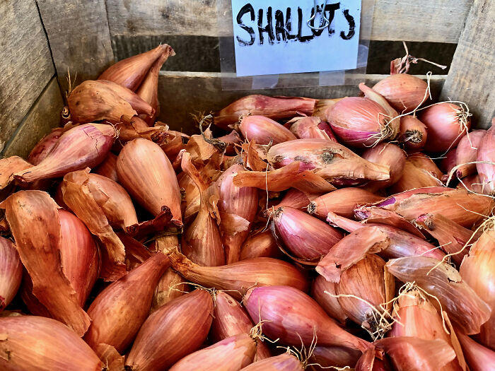 #5 Shallots #1 Butter, #3 Coffee Instead Of Water For Brownies, #5 Shallots, #7 Squeeze Of Lime, #9 Better Than Bouillon, #11 Miso Paste, #13 Cayenne, #15 Cornstarch, #17 Gochujang Paste, #19 Salt + Sweet Dessert, #21 Allspice, #23 Sumac Powder, #25 Horseradish Spread, #27 Fish Oil, #29 Liquid Smoke