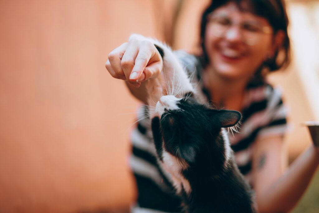 Tip #1: Keep Ingredients Simple and Safe, Tip #2: Choose the Right Treat Size, Tip #3: Store Them Properly, Tip #4: Consider Dietary Needs, Tip #5: Make It Fun and Involve the Family, Recipe #1: Peanut Butter &amp; Banana Dog Cookie, Recipe #2: Tuna and Catnip Cat Treats, Recipe #3: Frozen Chicken Broth Cubes (Dogs or Cats), Recipe #4: Apple and Carrot Bunny Bites, Recipe #5: Hamster-Friendly Seed Balls, Have Fun Treat-Making!