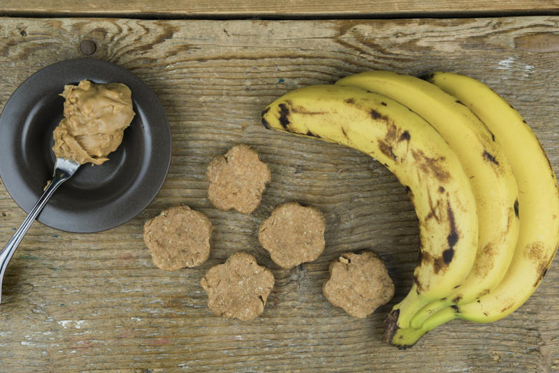 Tip #1: Keep Ingredients Simple and Safe, Tip #2: Choose the Right Treat Size, Tip #3: Store Them Properly, Tip #4: Consider Dietary Needs, Tip #5: Make It Fun and Involve the Family, Recipe #1: Peanut Butter &amp; Banana Dog Cookie, Recipe #2: Tuna and Catnip Cat Treats, Recipe #3: Frozen Chicken Broth Cubes (Dogs or Cats), Recipe #4: Apple and Carrot Bunny Bites, Recipe #5: Hamster-Friendly Seed Balls, Have Fun Treat-Making!