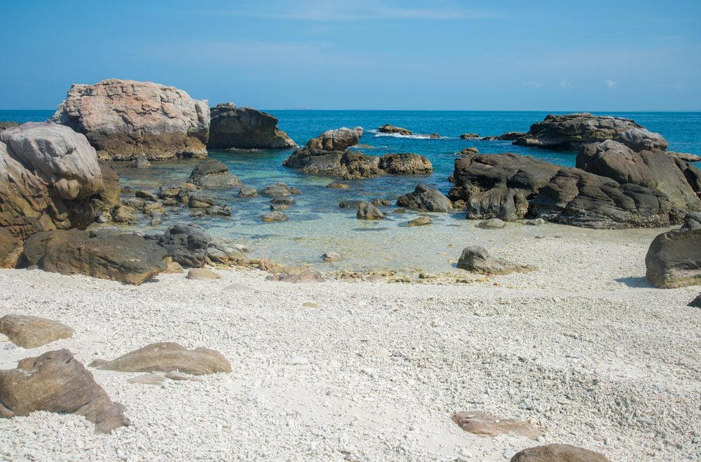 Northern Territory, Australia Cape Tribulation, Australia, Playa Zipolite, Mexico, Morecambe Bay, United Kingdom, Myrtle Beach, South Carolina, Chowpatty Beach, India, Fraser Island, Australia, Amazon Beaches, South America, Northern Territory, Australia, Ehukai Beach Park, Hawaii