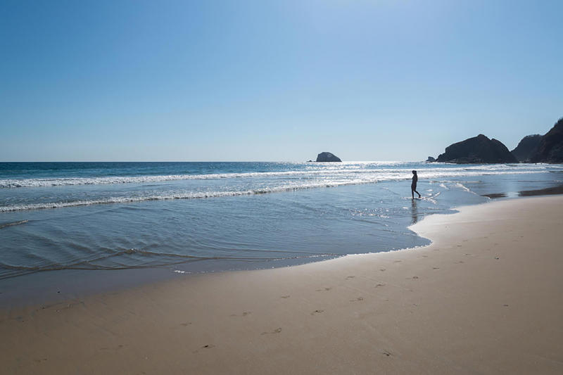Playa Zipolite, Mexico Cape Tribulation, Australia, Playa Zipolite, Mexico, Morecambe Bay, United Kingdom, Myrtle Beach, South Carolina, Chowpatty Beach, India, Fraser Island, Australia, Amazon Beaches, South America, Northern Territory, Australia, Ehukai Beach Park, Hawaii