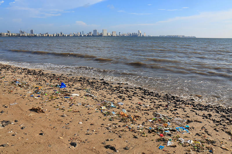 Chowpatty Beach, India Cape Tribulation, Australia, Playa Zipolite, Mexico, Morecambe Bay, United Kingdom, Myrtle Beach, South Carolina, Chowpatty Beach, India, Fraser Island, Australia, Amazon Beaches, South America, Northern Territory, Australia, Ehukai Beach Park, Hawaii